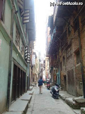 [P37] straduta » foto by buterfly*
 - 
<span class="allrVoted glyphicon glyphicon-heart hidden" id="av508291"></span>
<a class="m-l-10 hidden" id="sv508291" onclick="voting_Foto_DelVot(,508291,7929)" role="button">șterge vot <span class="glyphicon glyphicon-remove"></span></a>
<a id="v9508291" class=" c-red"  onclick="voting_Foto_SetVot(508291)" role="button"><span class="glyphicon glyphicon-heart-empty"></span> <b>LIKE</b> = Votează poza</a> <img class="hidden"  id="f508291W9" src="/imagini/loader.gif" border="0" /><span class="AjErrMes hidden" id="e508291ErM"></span>