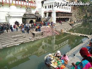 [P05] rudele fac oferte zeilor langa noi » foto by buterfly*
 - 
<span class="allrVoted glyphicon glyphicon-heart hidden" id="av509542"></span>
<a class="m-l-10 hidden" id="sv509542" onclick="voting_Foto_DelVot(,509542,7929)" role="button">șterge vot <span class="glyphicon glyphicon-remove"></span></a>
<a id="v9509542" class=" c-red"  onclick="voting_Foto_SetVot(509542)" role="button"><span class="glyphicon glyphicon-heart-empty"></span> <b>LIKE</b> = Votează poza</a> <img class="hidden"  id="f509542W9" src="/imagini/loader.gif" border="0" /><span class="AjErrMes hidden" id="e509542ErM"></span>