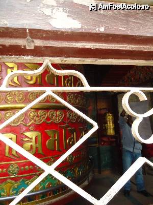 [P13] marele mosor colorat » foto by buterfly*
 - 
<span class="allrVoted glyphicon glyphicon-heart hidden" id="av510016"></span>
<a class="m-l-10 hidden" id="sv510016" onclick="voting_Foto_DelVot(,510016,7929)" role="button">șterge vot <span class="glyphicon glyphicon-remove"></span></a>
<a id="v9510016" class=" c-red"  onclick="voting_Foto_SetVot(510016)" role="button"><span class="glyphicon glyphicon-heart-empty"></span> <b>LIKE</b> = Votează poza</a> <img class="hidden"  id="f510016W9" src="/imagini/loader.gif" border="0" /><span class="AjErrMes hidden" id="e510016ErM"></span>