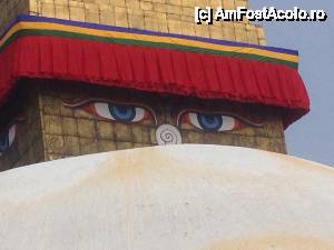 [P05]  -- <small>// FĂRĂ DESCRIERE</small> » foto by buterfly*
 - 
<span class="allrVoted glyphicon glyphicon-heart hidden" id="av510008"></span>
<a class="m-l-10 hidden" id="sv510008" onclick="voting_Foto_DelVot(,510008,7929)" role="button">șterge vot <span class="glyphicon glyphicon-remove"></span></a>
<a id="v9510008" class=" c-red"  onclick="voting_Foto_SetVot(510008)" role="button"><span class="glyphicon glyphicon-heart-empty"></span> <b>LIKE</b> = Votează poza</a> <img class="hidden"  id="f510008W9" src="/imagini/loader.gif" border="0" /><span class="AjErrMes hidden" id="e510008ErM"></span>