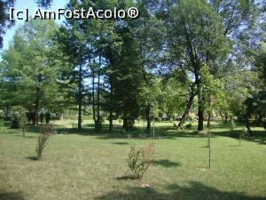 [P25] La plimbare prin parcul Chindia din Târgoviște.  » foto by Floryn81
 - 
<span class="allrVoted glyphicon glyphicon-heart hidden" id="av780834"></span>
<a class="m-l-10 hidden" id="sv780834" onclick="voting_Foto_DelVot(,780834,7936)" role="button">șterge vot <span class="glyphicon glyphicon-remove"></span></a>
<a id="v9780834" class=" c-red"  onclick="voting_Foto_SetVot(780834)" role="button"><span class="glyphicon glyphicon-heart-empty"></span> <b>LIKE</b> = Votează poza</a> <img class="hidden"  id="f780834W9" src="/imagini/loader.gif" border="0" /><span class="AjErrMes hidden" id="e780834ErM"></span>