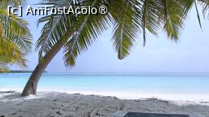 [P31]  -- <small>// FĂRĂ DESCRIERE</small> » foto by elenaadina
 - 
<span class="allrVoted glyphicon glyphicon-heart hidden" id="av1524057"></span>
<a class="m-l-10 hidden" id="sv1524057" onclick="voting_Foto_DelVot(,1524057,7942)" role="button">șterge vot <span class="glyphicon glyphicon-remove"></span></a>
<a id="v91524057" class=" c-red"  onclick="voting_Foto_SetVot(1524057)" role="button"><span class="glyphicon glyphicon-heart-empty"></span> <b>LIKE</b> = Votează poza</a> <img class="hidden"  id="f1524057W9" src="/imagini/loader.gif" border="0" /><span class="AjErrMes hidden" id="e1524057ErM"></span>