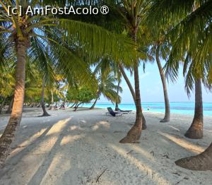 [P05] Meeru Maldives 2026 » foto by elenaadina
 - 
<span class="allrVoted glyphicon glyphicon-heart hidden" id="av1524031"></span>
<a class="m-l-10 hidden" id="sv1524031" onclick="voting_Foto_DelVot(,1524031,7942)" role="button">șterge vot <span class="glyphicon glyphicon-remove"></span></a>
<a id="v91524031" class=" c-red"  onclick="voting_Foto_SetVot(1524031)" role="button"><span class="glyphicon glyphicon-heart-empty"></span> <b>LIKE</b> = Votează poza</a> <img class="hidden"  id="f1524031W9" src="/imagini/loader.gif" border="0" /><span class="AjErrMes hidden" id="e1524031ErM"></span>