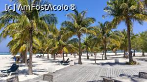 [P55]  -- <small>// FĂRĂ DESCRIERE</small> » foto by elenaadina
 - 
<span class="allrVoted glyphicon glyphicon-heart hidden" id="av1524081"></span>
<a class="m-l-10 hidden" id="sv1524081" onclick="voting_Foto_DelVot(,1524081,7942)" role="button">șterge vot <span class="glyphicon glyphicon-remove"></span></a>
<a id="v91524081" class=" c-red"  onclick="voting_Foto_SetVot(1524081)" role="button"><span class="glyphicon glyphicon-heart-empty"></span> <b>LIKE</b> = Votează poza</a> <img class="hidden"  id="f1524081W9" src="/imagini/loader.gif" border="0" /><span class="AjErrMes hidden" id="e1524081ErM"></span>