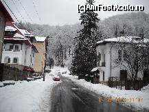 [P10] Strada unde este amplasata vila,in dreptul bradului mare,in spatele vilei albe din dreapta imaginii. » foto by fica*
 - 
<span class="allrVoted glyphicon glyphicon-heart hidden" id="av159510"></span>
<a class="m-l-10 hidden" id="sv159510" onclick="voting_Foto_DelVot(,159510,7951)" role="button">șterge vot <span class="glyphicon glyphicon-remove"></span></a>
<a id="v9159510" class=" c-red"  onclick="voting_Foto_SetVot(159510)" role="button"><span class="glyphicon glyphicon-heart-empty"></span> <b>LIKE</b> = Votează poza</a> <img class="hidden"  id="f159510W9" src="/imagini/loader.gif" border="0" /><span class="AjErrMes hidden" id="e159510ErM"></span>