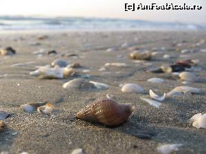 [P16]  -- <small>// FĂRĂ DESCRIERE</small> » foto by Rofri
 - 
<span class="allrVoted glyphicon glyphicon-heart hidden" id="av553131"></span>
<a class="m-l-10 hidden" id="sv553131" onclick="voting_Foto_DelVot(,553131,7979)" role="button">șterge vot <span class="glyphicon glyphicon-remove"></span></a>
<a id="v9553131" class=" c-red"  onclick="voting_Foto_SetVot(553131)" role="button"><span class="glyphicon glyphicon-heart-empty"></span> <b>LIKE</b> = Votează poza</a> <img class="hidden"  id="f553131W9" src="/imagini/loader.gif" border="0" /><span class="AjErrMes hidden" id="e553131ErM"></span>