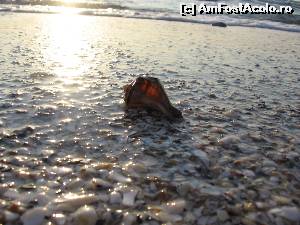 [P17]  -- <small>// FĂRĂ DESCRIERE</small> » foto by Rofri
 - 
<span class="allrVoted glyphicon glyphicon-heart hidden" id="av553132"></span>
<a class="m-l-10 hidden" id="sv553132" onclick="voting_Foto_DelVot(,553132,7979)" role="button">șterge vot <span class="glyphicon glyphicon-remove"></span></a>
<a id="v9553132" class=" c-red"  onclick="voting_Foto_SetVot(553132)" role="button"><span class="glyphicon glyphicon-heart-empty"></span> <b>LIKE</b> = Votează poza</a> <img class="hidden"  id="f553132W9" src="/imagini/loader.gif" border="0" /><span class="AjErrMes hidden" id="e553132ErM"></span>