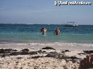 [P11] erau si alge dar nu atat de urate ca la noi, dar le strangeau in fiecare zi cei de la hotel. Algele se strangeau pe mal dar in apa nu prea erau.  » foto by deeutza
 - 
<span class="allrVoted glyphicon glyphicon-heart hidden" id="av702456"></span>
<a class="m-l-10 hidden" id="sv702456" onclick="voting_Foto_DelVot(,702456,7983)" role="button">șterge vot <span class="glyphicon glyphicon-remove"></span></a>
<a id="v9702456" class=" c-red"  onclick="voting_Foto_SetVot(702456)" role="button"><span class="glyphicon glyphicon-heart-empty"></span> <b>LIKE</b> = Votează poza</a> <img class="hidden"  id="f702456W9" src="/imagini/loader.gif" border="0" /><span class="AjErrMes hidden" id="e702456ErM"></span>