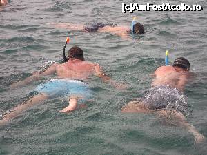 [P26] snorkel » foto by deeutza
 - 
<span class="allrVoted glyphicon glyphicon-heart hidden" id="av702471"></span>
<a class="m-l-10 hidden" id="sv702471" onclick="voting_Foto_DelVot(,702471,7983)" role="button">șterge vot <span class="glyphicon glyphicon-remove"></span></a>
<a id="v9702471" class=" c-red"  onclick="voting_Foto_SetVot(702471)" role="button"><span class="glyphicon glyphicon-heart-empty"></span> <b>LIKE</b> = Votează poza</a> <img class="hidden"  id="f702471W9" src="/imagini/loader.gif" border="0" /><span class="AjErrMes hidden" id="e702471ErM"></span>