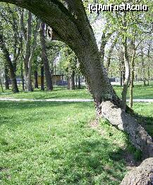 [P10] imagine din parcul orasului » foto by ilincutei c*
 - 
<span class="allrVoted glyphicon glyphicon-heart hidden" id="av163506"></span>
<a class="m-l-10 hidden" id="sv163506" onclick="voting_Foto_DelVot(,163506,8010)" role="button">șterge vot <span class="glyphicon glyphicon-remove"></span></a>
<a id="v9163506" class=" c-red"  onclick="voting_Foto_SetVot(163506)" role="button"><span class="glyphicon glyphicon-heart-empty"></span> <b>LIKE</b> = Votează poza</a> <img class="hidden"  id="f163506W9" src="/imagini/loader.gif" border="0" /><span class="AjErrMes hidden" id="e163506ErM"></span>