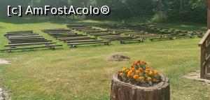 [P08] Una din pajiștile restaurantului <strong>Spišský Sălaš, care nu avea nici un loc, la nici o oră, într-o zi de sâmbătă.</strong> » foto by Aurici
 - 
<span class="allrVoted glyphicon glyphicon-heart hidden" id="av1284852"></span>
<a class="m-l-10 hidden" id="sv1284852" onclick="voting_Foto_DelVot(,1284852,8067)" role="button">șterge vot <span class="glyphicon glyphicon-remove"></span></a>
<a id="v91284852" class=" c-red"  onclick="voting_Foto_SetVot(1284852)" role="button"><span class="glyphicon glyphicon-heart-empty"></span> <b>LIKE</b> = Votează poza</a> <img class="hidden"  id="f1284852W9" src="/imagini/loader.gif" border="0" /><span class="AjErrMes hidden" id="e1284852ErM"></span>