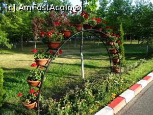 [P19] Amenajări peisagistice în parc. » foto by tata123 🔱
 - 
<span class="allrVoted glyphicon glyphicon-heart hidden" id="av1314435"></span>
<a class="m-l-10 hidden" id="sv1314435" onclick="voting_Foto_DelVot(,1314435,8118)" role="button">șterge vot <span class="glyphicon glyphicon-remove"></span></a>
<a id="v91314435" class=" c-red"  onclick="voting_Foto_SetVot(1314435)" role="button"><span class="glyphicon glyphicon-heart-empty"></span> <b>LIKE</b> = Votează poza</a> <img class="hidden"  id="f1314435W9" src="/imagini/loader.gif" border="0" /><span class="AjErrMes hidden" id="e1314435ErM"></span>