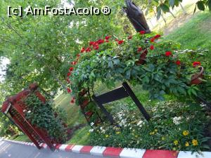 [P21] Amenajări peisagistice în parc. » foto by tata123 🔱
 - 
<span class="allrVoted glyphicon glyphicon-heart hidden" id="av1314437"></span>
<a class="m-l-10 hidden" id="sv1314437" onclick="voting_Foto_DelVot(,1314437,8118)" role="button">șterge vot <span class="glyphicon glyphicon-remove"></span></a>
<a id="v91314437" class=" c-red"  onclick="voting_Foto_SetVot(1314437)" role="button"><span class="glyphicon glyphicon-heart-empty"></span> <b>LIKE</b> = Votează poza</a> <img class="hidden"  id="f1314437W9" src="/imagini/loader.gif" border="0" /><span class="AjErrMes hidden" id="e1314437ErM"></span>