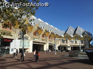 [P20] Rotterdam si casele cubice » foto by mishu
 - 
<span class="allrVoted glyphicon glyphicon-heart hidden" id="av1151580"></span>
<a class="m-l-10 hidden" id="sv1151580" onclick="voting_Foto_DelVot(,1151580,8126)" role="button">șterge vot <span class="glyphicon glyphicon-remove"></span></a>
<a id="v91151580" class=" c-red"  onclick="voting_Foto_SetVot(1151580)" role="button"><span class="glyphicon glyphicon-heart-empty"></span> <b>LIKE</b> = Votează poza</a> <img class="hidden"  id="f1151580W9" src="/imagini/loader.gif" border="0" /><span class="AjErrMes hidden" id="e1151580ErM"></span>