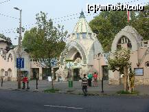 [P08] AmFostAcolo, la Grădina Zoo din Budapesta. Mulţumesc tuturor celor ce au scris despre ea. » foto by creivean
 - 
<span class="allrVoted glyphicon glyphicon-heart hidden" id="av175076"></span>
<a class="m-l-10 hidden" id="sv175076" onclick="voting_Foto_DelVot(,175076,8126)" role="button">șterge vot <span class="glyphicon glyphicon-remove"></span></a>
<a id="v9175076" class=" c-red"  onclick="voting_Foto_SetVot(175076)" role="button"><span class="glyphicon glyphicon-heart-empty"></span> <b>LIKE</b> = Votează poza</a> <img class="hidden"  id="f175076W9" src="/imagini/loader.gif" border="0" /><span class="AjErrMes hidden" id="e175076ErM"></span>