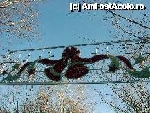 [P13] Bucuresti in haine de sarbatoare - Parcul Cuza » foto by magdalena
 - 
<span class="allrVoted glyphicon glyphicon-heart hidden" id="av285681"></span>
<a class="m-l-10 hidden" id="sv285681" onclick="voting_Foto_DelVot(,285681,8126)" role="button">șterge vot <span class="glyphicon glyphicon-remove"></span></a>
<a id="v9285681" class=" c-red"  onclick="voting_Foto_SetVot(285681)" role="button"><span class="glyphicon glyphicon-heart-empty"></span> <b>LIKE</b> = Votează poza</a> <img class="hidden"  id="f285681W9" src="/imagini/loader.gif" border="0" /><span class="AjErrMes hidden" id="e285681ErM"></span>