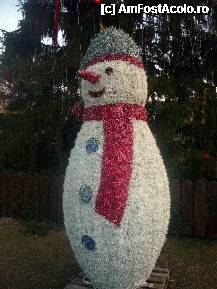 [P04] Bucuresti in haine de sarbatoare - Parcul Cuza, un om de zapada » foto by magdalena
 - 
<span class="allrVoted glyphicon glyphicon-heart hidden" id="av285672"></span>
<a class="m-l-10 hidden" id="sv285672" onclick="voting_Foto_DelVot(,285672,8126)" role="button">șterge vot <span class="glyphicon glyphicon-remove"></span></a>
<a id="v9285672" class=" c-red"  onclick="voting_Foto_SetVot(285672)" role="button"><span class="glyphicon glyphicon-heart-empty"></span> <b>LIKE</b> = Votează poza</a> <img class="hidden"  id="f285672W9" src="/imagini/loader.gif" border="0" /><span class="AjErrMes hidden" id="e285672ErM"></span>