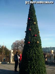 [P07] Bucuresti in haine de sarbatoare - Parcul Cuza » foto by magdalena
 - 
<span class="allrVoted glyphicon glyphicon-heart hidden" id="av285675"></span>
<a class="m-l-10 hidden" id="sv285675" onclick="voting_Foto_DelVot(,285675,8126)" role="button">șterge vot <span class="glyphicon glyphicon-remove"></span></a>
<a id="v9285675" class=" c-red"  onclick="voting_Foto_SetVot(285675)" role="button"><span class="glyphicon glyphicon-heart-empty"></span> <b>LIKE</b> = Votează poza</a> <img class="hidden"  id="f285675W9" src="/imagini/loader.gif" border="0" /><span class="AjErrMes hidden" id="e285675ErM"></span>