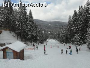 [P15] Partia Csipike » foto by dorgo
 - 
<span class="allrVoted glyphicon glyphicon-heart hidden" id="av1225184"></span>
<a class="m-l-10 hidden" id="sv1225184" onclick="voting_Foto_DelVot(,1225184,8126)" role="button">șterge vot <span class="glyphicon glyphicon-remove"></span></a>
<a id="v91225184" class=" c-red"  onclick="voting_Foto_SetVot(1225184)" role="button"><span class="glyphicon glyphicon-heart-empty"></span> <b>LIKE</b> = Votează poza</a> <img class="hidden"  id="f1225184W9" src="/imagini/loader.gif" border="0" /><span class="AjErrMes hidden" id="e1225184ErM"></span>