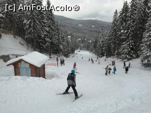 [P19] Csipike e cea mai animata » foto by dorgo
 - 
<span class="allrVoted glyphicon glyphicon-heart hidden" id="av1225188"></span>
<a class="m-l-10 hidden" id="sv1225188" onclick="voting_Foto_DelVot(,1225188,8126)" role="button">șterge vot <span class="glyphicon glyphicon-remove"></span></a>
<a id="v91225188" class=" c-red"  onclick="voting_Foto_SetVot(1225188)" role="button"><span class="glyphicon glyphicon-heart-empty"></span> <b>LIKE</b> = Votează poza</a> <img class="hidden"  id="f1225188W9" src="/imagini/loader.gif" border="0" /><span class="AjErrMes hidden" id="e1225188ErM"></span>