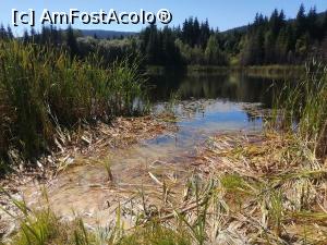 [P03] Lacul de langa colina de caolin » foto by dorgo
 - 
<span class="allrVoted glyphicon glyphicon-heart hidden" id="av1225172"></span>
<a class="m-l-10 hidden" id="sv1225172" onclick="voting_Foto_DelVot(,1225172,8126)" role="button">șterge vot <span class="glyphicon glyphicon-remove"></span></a>
<a id="v91225172" class=" c-red"  onclick="voting_Foto_SetVot(1225172)" role="button"><span class="glyphicon glyphicon-heart-empty"></span> <b>LIKE</b> = Votează poza</a> <img class="hidden"  id="f1225172W9" src="/imagini/loader.gif" border="0" /><span class="AjErrMes hidden" id="e1225172ErM"></span>