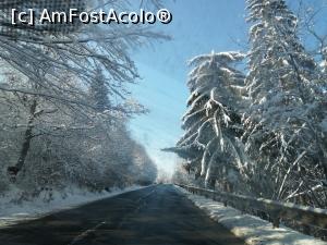 [P09] Pana sus la Harghita-Bai, e-un drum plin de serpentine » foto by dorgo
 - 
<span class="allrVoted glyphicon glyphicon-heart hidden" id="av1225178"></span>
<a class="m-l-10 hidden" id="sv1225178" onclick="voting_Foto_DelVot(,1225178,8126)" role="button">șterge vot <span class="glyphicon glyphicon-remove"></span></a>
<a id="v91225178" class=" c-red"  onclick="voting_Foto_SetVot(1225178)" role="button"><span class="glyphicon glyphicon-heart-empty"></span> <b>LIKE</b> = Votează poza</a> <img class="hidden"  id="f1225178W9" src="/imagini/loader.gif" border="0" /><span class="AjErrMes hidden" id="e1225178ErM"></span>