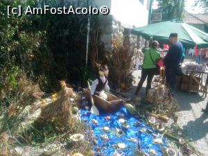 [P13] Festivalul sarmalelor de la Praid, 2016 » foto by dorgo
 - 
<span class="allrVoted glyphicon glyphicon-heart hidden" id="av810126"></span>
<a class="m-l-10 hidden" id="sv810126" onclick="voting_Foto_DelVot(,810126,8126)" role="button">șterge vot <span class="glyphicon glyphicon-remove"></span></a>
<a id="v9810126" class=" c-red"  onclick="voting_Foto_SetVot(810126)" role="button"><span class="glyphicon glyphicon-heart-empty"></span> <b>LIKE</b> = Votează poza</a> <img class="hidden"  id="f810126W9" src="/imagini/loader.gif" border="0" /><span class="AjErrMes hidden" id="e810126ErM"></span>