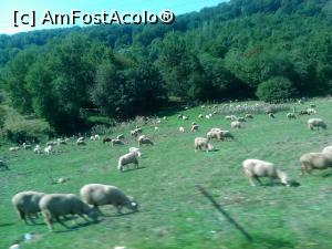 [P03] Spre pajistile montane » foto by dorgo
 - 
<span class="allrVoted glyphicon glyphicon-heart hidden" id="av810110"></span>
<a class="m-l-10 hidden" id="sv810110" onclick="voting_Foto_DelVot(,810110,8126)" role="button">șterge vot <span class="glyphicon glyphicon-remove"></span></a>
<a id="v9810110" class=" c-red"  onclick="voting_Foto_SetVot(810110)" role="button"><span class="glyphicon glyphicon-heart-empty"></span> <b>LIKE</b> = Votează poza</a> <img class="hidden"  id="f810110W9" src="/imagini/loader.gif" border="0" /><span class="AjErrMes hidden" id="e810110ErM"></span>