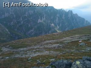 [P05] Platoul Bucegilor » foto by dorgo
 - 
<span class="allrVoted glyphicon glyphicon-heart hidden" id="av810113"></span>
<a class="m-l-10 hidden" id="sv810113" onclick="voting_Foto_DelVot(,810113,8126)" role="button">șterge vot <span class="glyphicon glyphicon-remove"></span></a>
<a id="v9810113" class=" c-red"  onclick="voting_Foto_SetVot(810113)" role="button"><span class="glyphicon glyphicon-heart-empty"></span> <b>LIKE</b> = Votează poza</a> <img class="hidden"  id="f810113W9" src="/imagini/loader.gif" border="0" /><span class="AjErrMes hidden" id="e810113ErM"></span>