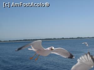 [P09] Ei, gata cu Franta, vom porni in zbor, spre tara viselor mele, spre Grecia » foto by dorgo
 - 
<span class="allrVoted glyphicon glyphicon-heart hidden" id="av826331"></span>
<a class="m-l-10 hidden" id="sv826331" onclick="voting_Foto_DelVot(,826331,8126)" role="button">șterge vot <span class="glyphicon glyphicon-remove"></span></a>
<a id="v9826331" class=" c-red"  onclick="voting_Foto_SetVot(826331)" role="button"><span class="glyphicon glyphicon-heart-empty"></span> <b>LIKE</b> = Votează poza</a> <img class="hidden"  id="f826331W9" src="/imagini/loader.gif" border="0" /><span class="AjErrMes hidden" id="e826331ErM"></span>