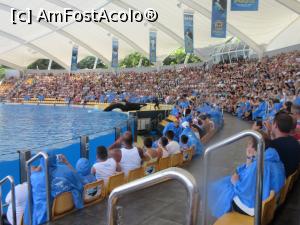 [P35] Tenerife, Loro Park, dresură de orci, balene ucigaşe » foto by Michi
 - 
<span class="allrVoted glyphicon glyphicon-heart hidden" id="av1184378"></span>
<a class="m-l-10 hidden" id="sv1184378" onclick="voting_Foto_DelVot(,1184378,8126)" role="button">șterge vot <span class="glyphicon glyphicon-remove"></span></a>
<a id="v91184378" class=" c-red"  onclick="voting_Foto_SetVot(1184378)" role="button"><span class="glyphicon glyphicon-heart-empty"></span> <b>LIKE</b> = Votează poza</a> <img class="hidden"  id="f1184378W9" src="/imagini/loader.gif" border="0" /><span class="AjErrMes hidden" id="e1184378ErM"></span>