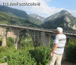 [P05] Cnionul Tara Muntenegru » foto by Michi
 - 
<span class="allrVoted glyphicon glyphicon-heart hidden" id="av1184348"></span>
<a class="m-l-10 hidden" id="sv1184348" onclick="voting_Foto_DelVot(,1184348,8126)" role="button">șterge vot <span class="glyphicon glyphicon-remove"></span></a>
<a id="v91184348" class=" c-red"  onclick="voting_Foto_SetVot(1184348)" role="button"><span class="glyphicon glyphicon-heart-empty"></span> <b>LIKE</b> = Votează poza</a> <img class="hidden"  id="f1184348W9" src="/imagini/loader.gif" border="0" /><span class="AjErrMes hidden" id="e1184348ErM"></span>