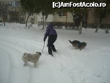 [P07] O scurta incalzire ... » foto by lavylus
 - 
<span class="allrVoted glyphicon glyphicon-heart hidden" id="av173174"></span>
<a class="m-l-10 hidden" id="sv173174" onclick="voting_Foto_DelVot(,173174,8128)" role="button">șterge vot <span class="glyphicon glyphicon-remove"></span></a>
<a id="v9173174" class=" c-red"  onclick="voting_Foto_SetVot(173174)" role="button"><span class="glyphicon glyphicon-heart-empty"></span> <b>LIKE</b> = Votează poza</a> <img class="hidden"  id="f173174W9" src="/imagini/loader.gif" border="0" /><span class="AjErrMes hidden" id="e173174ErM"></span>