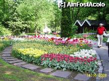 [P10] Olanda - Parcul Keukenhof » foto by popescu.borsa*
 - 
<span class="allrVoted glyphicon glyphicon-heart hidden" id="av195022"></span>
<a class="m-l-10 hidden" id="sv195022" onclick="voting_Foto_DelVot(,195022,8128)" role="button">șterge vot <span class="glyphicon glyphicon-remove"></span></a>
<a id="v9195022" class=" c-red"  onclick="voting_Foto_SetVot(195022)" role="button"><span class="glyphicon glyphicon-heart-empty"></span> <b>LIKE</b> = Votează poza</a> <img class="hidden"  id="f195022W9" src="/imagini/loader.gif" border="0" /><span class="AjErrMes hidden" id="e195022ErM"></span>
