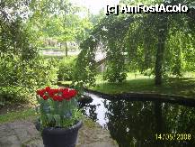 [P02] Olanda - Parcul Keukenhof » foto by popescu.borsa*
 - 
<span class="allrVoted glyphicon glyphicon-heart hidden" id="av195014"></span>
<a class="m-l-10 hidden" id="sv195014" onclick="voting_Foto_DelVot(,195014,8128)" role="button">șterge vot <span class="glyphicon glyphicon-remove"></span></a>
<a id="v9195014" class=" c-red"  onclick="voting_Foto_SetVot(195014)" role="button"><span class="glyphicon glyphicon-heart-empty"></span> <b>LIKE</b> = Votează poza</a> <img class="hidden"  id="f195014W9" src="/imagini/loader.gif" border="0" /><span class="AjErrMes hidden" id="e195014ErM"></span>