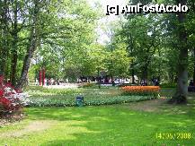 [P20] Olanda - Parcul Keukenhof » foto by popescu.borsa*
 - 
<span class="allrVoted glyphicon glyphicon-heart hidden" id="av195032"></span>
<a class="m-l-10 hidden" id="sv195032" onclick="voting_Foto_DelVot(,195032,8128)" role="button">șterge vot <span class="glyphicon glyphicon-remove"></span></a>
<a id="v9195032" class=" c-red"  onclick="voting_Foto_SetVot(195032)" role="button"><span class="glyphicon glyphicon-heart-empty"></span> <b>LIKE</b> = Votează poza</a> <img class="hidden"  id="f195032W9" src="/imagini/loader.gif" border="0" /><span class="AjErrMes hidden" id="e195032ErM"></span>