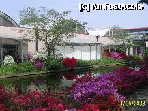 [P21] Olanda - Parcul Keukenhof » foto by popescu.borsa*
 - 
<span class="allrVoted glyphicon glyphicon-heart hidden" id="av195033"></span>
<a class="m-l-10 hidden" id="sv195033" onclick="voting_Foto_DelVot(,195033,8128)" role="button">șterge vot <span class="glyphicon glyphicon-remove"></span></a>
<a id="v9195033" class=" c-red"  onclick="voting_Foto_SetVot(195033)" role="button"><span class="glyphicon glyphicon-heart-empty"></span> <b>LIKE</b> = Votează poza</a> <img class="hidden"  id="f195033W9" src="/imagini/loader.gif" border="0" /><span class="AjErrMes hidden" id="e195033ErM"></span>