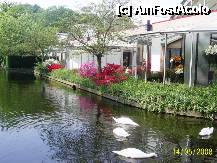 [P30] Olanda - Parcul Keukenhof » foto by popescu.borsa*
 - 
<span class="allrVoted glyphicon glyphicon-heart hidden" id="av195042"></span>
<a class="m-l-10 hidden" id="sv195042" onclick="voting_Foto_DelVot(,195042,8128)" role="button">șterge vot <span class="glyphicon glyphicon-remove"></span></a>
<a id="v9195042" class=" c-red"  onclick="voting_Foto_SetVot(195042)" role="button"><span class="glyphicon glyphicon-heart-empty"></span> <b>LIKE</b> = Votează poza</a> <img class="hidden"  id="f195042W9" src="/imagini/loader.gif" border="0" /><span class="AjErrMes hidden" id="e195042ErM"></span>