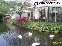 [P31] Olanda - Parcul Keukenhof » foto by popescu.borsa*
 - 
<span class="allrVoted glyphicon glyphicon-heart hidden" id="av195043"></span>
<a class="m-l-10 hidden" id="sv195043" onclick="voting_Foto_DelVot(,195043,8128)" role="button">șterge vot <span class="glyphicon glyphicon-remove"></span></a>
<a id="v9195043" class=" c-red"  onclick="voting_Foto_SetVot(195043)" role="button"><span class="glyphicon glyphicon-heart-empty"></span> <b>LIKE</b> = Votează poza</a> <img class="hidden"  id="f195043W9" src="/imagini/loader.gif" border="0" /><span class="AjErrMes hidden" id="e195043ErM"></span>