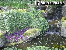 [P04] Olanda - Parcul Keukenhof » foto by popescu.borsa*
 - 
<span class="allrVoted glyphicon glyphicon-heart hidden" id="av195016"></span>
<a class="m-l-10 hidden" id="sv195016" onclick="voting_Foto_DelVot(,195016,8128)" role="button">șterge vot <span class="glyphicon glyphicon-remove"></span></a>
<a id="v9195016" class=" c-red"  onclick="voting_Foto_SetVot(195016)" role="button"><span class="glyphicon glyphicon-heart-empty"></span> <b>LIKE</b> = Votează poza</a> <img class="hidden"  id="f195016W9" src="/imagini/loader.gif" border="0" /><span class="AjErrMes hidden" id="e195016ErM"></span>