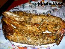 [P41] un festin culinar..stiuca umpluta..pacat ca nu se transmite mirosul.. » foto by lalita21
 - 
<span class="allrVoted glyphicon glyphicon-heart hidden" id="av185723"></span>
<a class="m-l-10 hidden" id="sv185723" onclick="voting_Foto_DelVot(,185723,8128)" role="button">șterge vot <span class="glyphicon glyphicon-remove"></span></a>
<a id="v9185723" class=" c-red"  onclick="voting_Foto_SetVot(185723)" role="button"><span class="glyphicon glyphicon-heart-empty"></span> <b>LIKE</b> = Votează poza</a> <img class="hidden"  id="f185723W9" src="/imagini/loader.gif" border="0" /><span class="AjErrMes hidden" id="e185723ErM"></span>