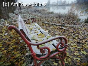 [P14] Iarna pe malul Muresului » foto by dorgo
 - 
<span class="allrVoted glyphicon glyphicon-heart hidden" id="av1251454"></span>
<a class="m-l-10 hidden" id="sv1251454" onclick="voting_Foto_DelVot(,1251454,8128)" role="button">șterge vot <span class="glyphicon glyphicon-remove"></span></a>
<a id="v91251454" class=" c-red"  onclick="voting_Foto_SetVot(1251454)" role="button"><span class="glyphicon glyphicon-heart-empty"></span> <b>LIKE</b> = Votează poza</a> <img class="hidden"  id="f1251454W9" src="/imagini/loader.gif" border="0" /><span class="AjErrMes hidden" id="e1251454ErM"></span>