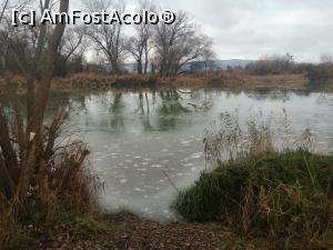 [P15] Muresul acoperit de o pojghita de gheata » foto by dorgo
 - 
<span class="allrVoted glyphicon glyphicon-heart hidden" id="av1251455"></span>
<a class="m-l-10 hidden" id="sv1251455" onclick="voting_Foto_DelVot(,1251455,8128)" role="button">șterge vot <span class="glyphicon glyphicon-remove"></span></a>
<a id="v91251455" class=" c-red"  onclick="voting_Foto_SetVot(1251455)" role="button"><span class="glyphicon glyphicon-heart-empty"></span> <b>LIKE</b> = Votează poza</a> <img class="hidden"  id="f1251455W9" src="/imagini/loader.gif" border="0" /><span class="AjErrMes hidden" id="e1251455ErM"></span>