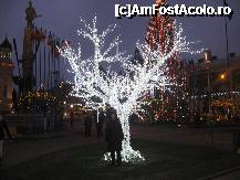 [P11] Inca n-a nins decat pe arborii ornamentali » foto by dorgo
 - 
<span class="allrVoted glyphicon glyphicon-heart hidden" id="av173733"></span>
<a class="m-l-10 hidden" id="sv173733" onclick="voting_Foto_DelVot(,173733,8128)" role="button">șterge vot <span class="glyphicon glyphicon-remove"></span></a>
<a id="v9173733" class=" c-red"  onclick="voting_Foto_SetVot(173733)" role="button"><span class="glyphicon glyphicon-heart-empty"></span> <b>LIKE</b> = Votează poza</a> <img class="hidden"  id="f173733W9" src="/imagini/loader.gif" border="0" /><span class="AjErrMes hidden" id="e173733ErM"></span>