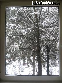 [P16] Iata si imaginea care ma acompaniaza atunci cand imi beau cafeaua in bucatarie... » foto by dorgo
 - 
<span class="allrVoted glyphicon glyphicon-heart hidden" id="av174027"></span>
<a class="m-l-10 hidden" id="sv174027" onclick="voting_Foto_DelVot(,174027,8128)" role="button">șterge vot <span class="glyphicon glyphicon-remove"></span></a>
<a id="v9174027" class=" c-red"  onclick="voting_Foto_SetVot(174027)" role="button"><span class="glyphicon glyphicon-heart-empty"></span> <b>LIKE</b> = Votează poza</a> <img class="hidden"  id="f174027W9" src="/imagini/loader.gif" border="0" /><span class="AjErrMes hidden" id="e174027ErM"></span>