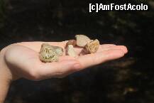 [P17] Peisaj nr.17 » foto by dorgo
 - 
<span class="allrVoted glyphicon glyphicon-heart hidden" id="av264365"></span>
<a class="m-l-10 hidden" id="sv264365" onclick="voting_Foto_DelVot(,264365,8128)" role="button">șterge vot <span class="glyphicon glyphicon-remove"></span></a>
<a id="v9264365" class=" c-red"  onclick="voting_Foto_SetVot(264365)" role="button"><span class="glyphicon glyphicon-heart-empty"></span> <b>LIKE</b> = Votează poza</a> <img class="hidden"  id="f264365W9" src="/imagini/loader.gif" border="0" /><span class="AjErrMes hidden" id="e264365ErM"></span>