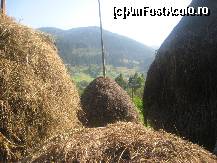 [P06] Peisaj nr.6 » foto by dorgo
 - 
<span class="allrVoted glyphicon glyphicon-heart hidden" id="av263957"></span>
<a class="m-l-10 hidden" id="sv263957" onclick="voting_Foto_DelVot(,263957,8128)" role="button">șterge vot <span class="glyphicon glyphicon-remove"></span></a>
<a id="v9263957" class=" c-red"  onclick="voting_Foto_SetVot(263957)" role="button"><span class="glyphicon glyphicon-heart-empty"></span> <b>LIKE</b> = Votează poza</a> <img class="hidden"  id="f263957W9" src="/imagini/loader.gif" border="0" /><span class="AjErrMes hidden" id="e263957ErM"></span>