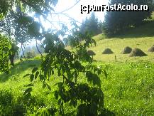 [P09] Peisaj nr.9 » foto by dorgo
 - 
<span class="allrVoted glyphicon glyphicon-heart hidden" id="av263960"></span>
<a class="m-l-10 hidden" id="sv263960" onclick="voting_Foto_DelVot(,263960,8128)" role="button">șterge vot <span class="glyphicon glyphicon-remove"></span></a>
<a id="v9263960" class=" c-red"  onclick="voting_Foto_SetVot(263960)" role="button"><span class="glyphicon glyphicon-heart-empty"></span> <b>LIKE</b> = Votează poza</a> <img class="hidden"  id="f263960W9" src="/imagini/loader.gif" border="0" /><span class="AjErrMes hidden" id="e263960ErM"></span>