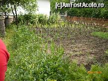 [P07] incet incet, rasadurile cresc si dau roade. In stanga se vede si fantana de unde nu ma saturam sa beau apa » foto by deliutza27
 - 
<span class="allrVoted glyphicon glyphicon-heart hidden" id="av152273"></span>
<a class="m-l-10 hidden" id="sv152273" onclick="voting_Foto_DelVot(,152273,8128)" role="button">șterge vot <span class="glyphicon glyphicon-remove"></span></a>
<a id="v9152273" class=" c-red"  onclick="voting_Foto_SetVot(152273)" role="button"><span class="glyphicon glyphicon-heart-empty"></span> <b>LIKE</b> = Votează poza</a> <img class="hidden"  id="f152273W9" src="/imagini/loader.gif" border="0" /><span class="AjErrMes hidden" id="e152273ErM"></span>