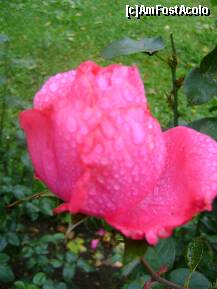 [P05] Un bobocel pentru doamne si domnisoare. » foto by ninaa
 - 
<span class="allrVoted glyphicon glyphicon-heart hidden" id="av188273"></span>
<a class="m-l-10 hidden" id="sv188273" onclick="voting_Foto_DelVot(,188273,8128)" role="button">șterge vot <span class="glyphicon glyphicon-remove"></span></a>
<a id="v9188273" class=" c-red"  onclick="voting_Foto_SetVot(188273)" role="button"><span class="glyphicon glyphicon-heart-empty"></span> <b>LIKE</b> = Votează poza</a> <img class="hidden"  id="f188273W9" src="/imagini/loader.gif" border="0" /><span class="AjErrMes hidden" id="e188273ErM"></span>